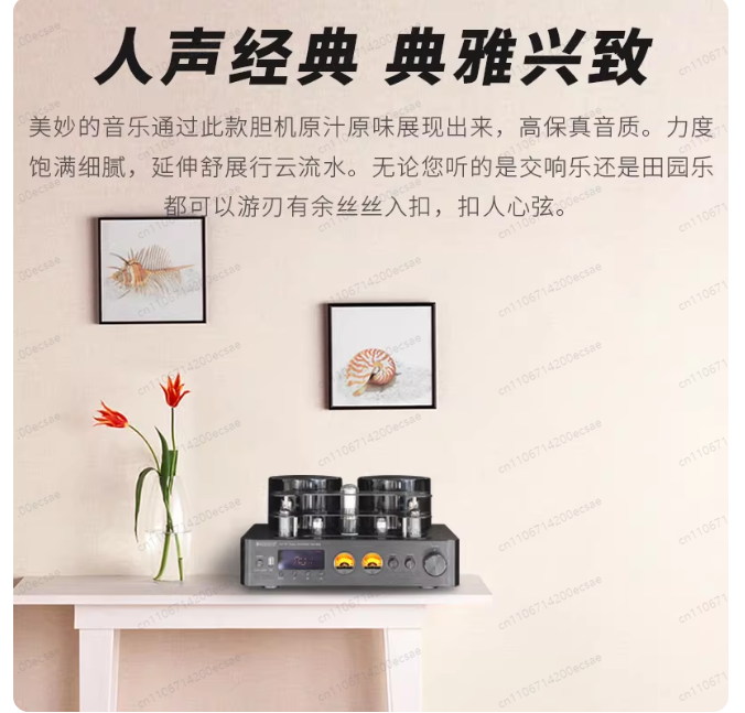 220V 400W * 2 High Fidelity Wi - Audio Music Youtube 评论和价格