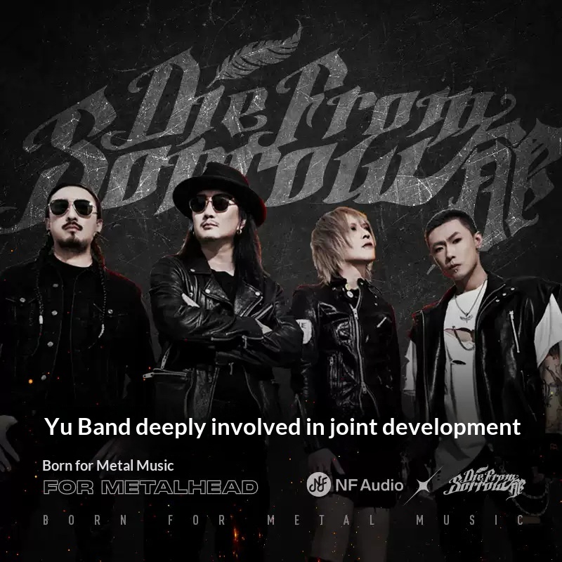 NF Audio NA2 Metal Dynamic Dri - Audio Music Edit 评论和价格